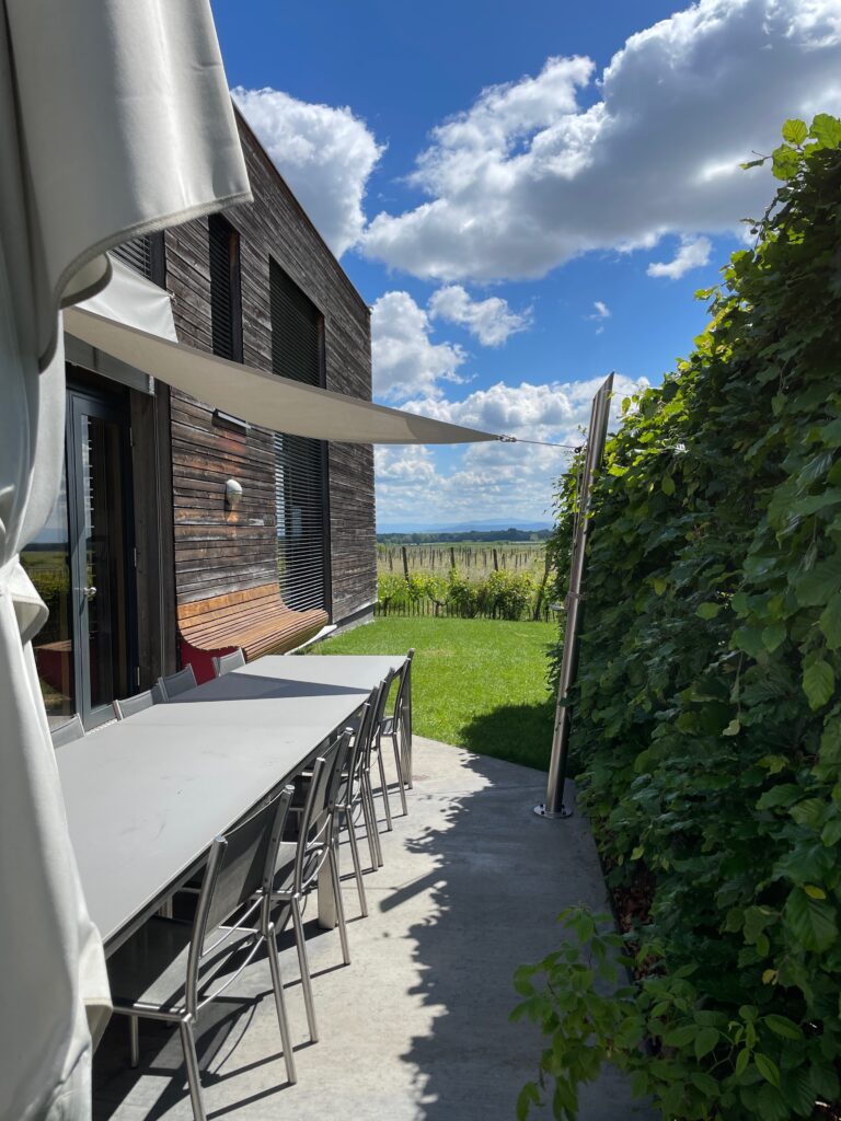 Grande Terrasse avec vue sur vignoble